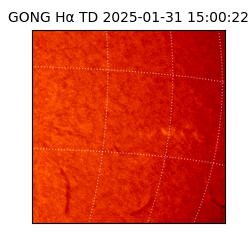 gong - 2025-01-31T15:00:22