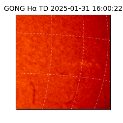 gong - 2025-01-31T16:00:22