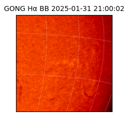 gong - 2025-01-31T21:00:02