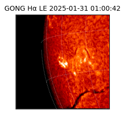 gong - 2025-01-31T01:00:42