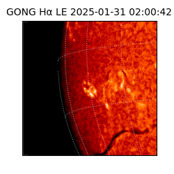 gong - 2025-01-31T02:00:42