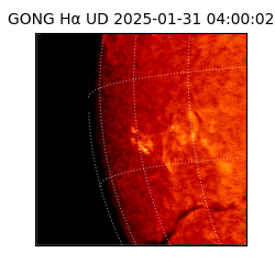 gong - 2025-01-31T04:00:02