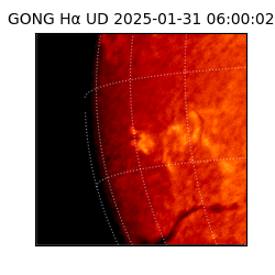 gong - 2025-01-31T06:00:02