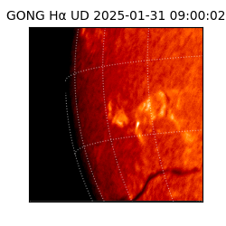 gong - 2025-01-31T09:00:02