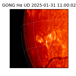 gong - 2025-01-31T11:00:02