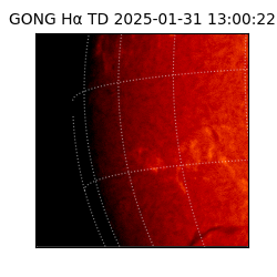 gong - 2025-01-31T13:00:22