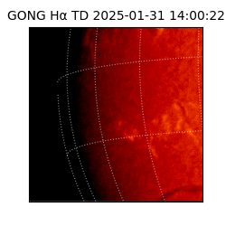gong - 2025-01-31T14:00:22