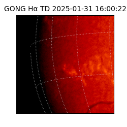 gong - 2025-01-31T16:00:22
