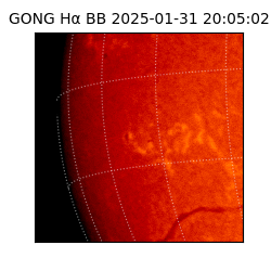 gong - 2025-01-31T20:05:02