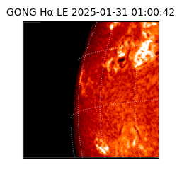 gong - 2025-01-31T01:00:42