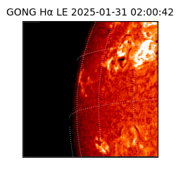 gong - 2025-01-31T02:00:42
