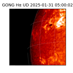 gong - 2025-01-31T05:00:02