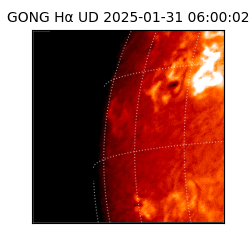 gong - 2025-01-31T06:00:02