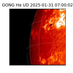 gong - 2025-01-31T07:00:02