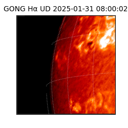 gong - 2025-01-31T08:00:02