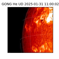 gong - 2025-01-31T11:00:02