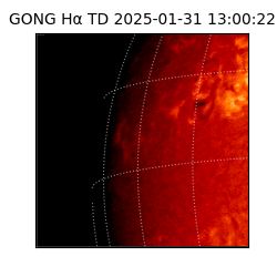 gong - 2025-01-31T13:00:22
