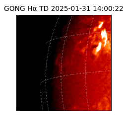 gong - 2025-01-31T14:00:22