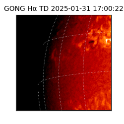 gong - 2025-01-31T17:00:22
