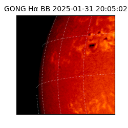 gong - 2025-01-31T20:05:02