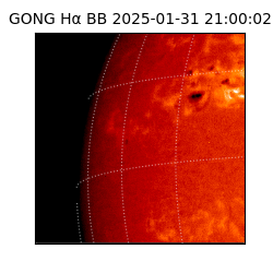 gong - 2025-01-31T21:00:02