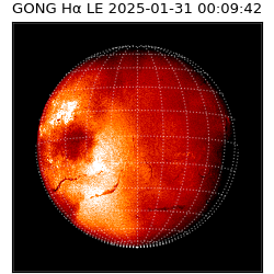 gong - 2025-01-31T00:09:42