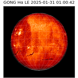 gong - 2025-01-31T01:00:42
