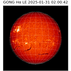 gong - 2025-01-31T02:00:42
