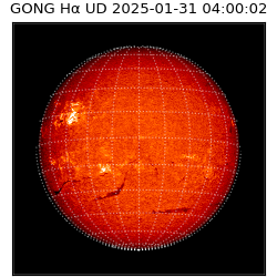 gong - 2025-01-31T04:00:02