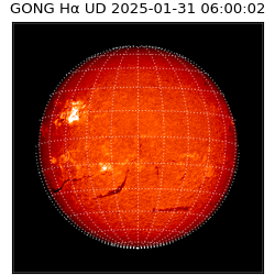gong - 2025-01-31T06:00:02