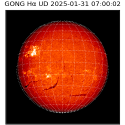 gong - 2025-01-31T07:00:02
