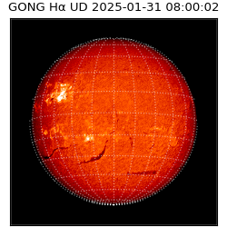 gong - 2025-01-31T08:00:02