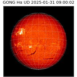 gong - 2025-01-31T09:00:02