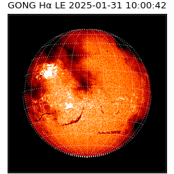 gong - 2025-01-31T10:00:42