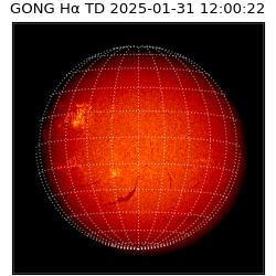 gong - 2025-01-31T12:00:22