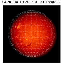 gong - 2025-01-31T13:00:22