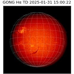 gong - 2025-01-31T15:00:22