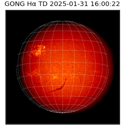 gong - 2025-01-31T16:00:22