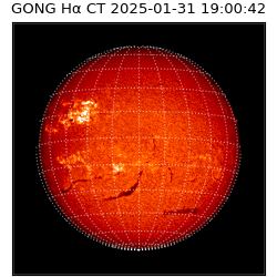 gong - 2025-01-31T19:00:42