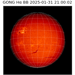 gong - 2025-01-31T21:00:02