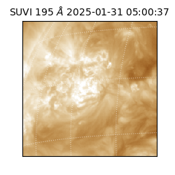 suvi - 2025-01-31T05:00:37.510000