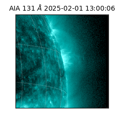 saia - 2025-02-01T13:00:06.622000