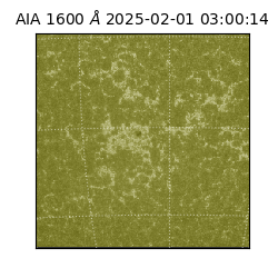 saia - 2025-02-01T03:00:14.125000