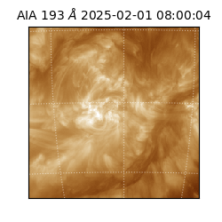 saia - 2025-02-01T08:00:04.843000