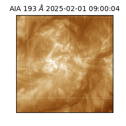 saia - 2025-02-01T09:00:04.843000