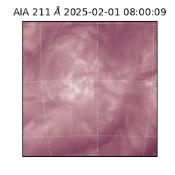 saia - 2025-02-01T08:00:09.626000