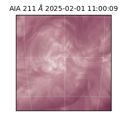 saia - 2025-02-01T11:00:09.626000