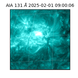 saia - 2025-02-01T09:00:06.622000