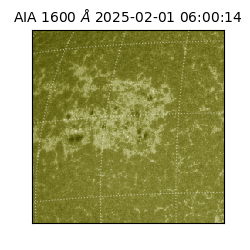 saia - 2025-02-01T06:00:14.130000