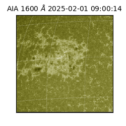 saia - 2025-02-01T09:00:14.126000